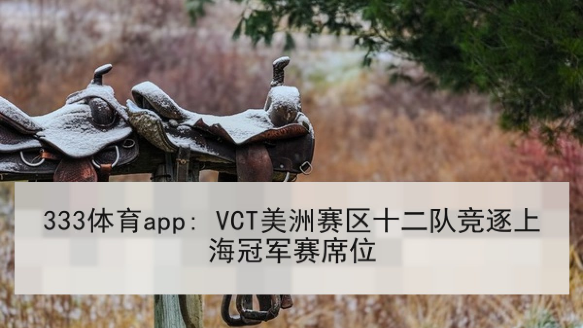 333体育app: VCT美洲赛区十二队竞逐上海冠军赛席位
