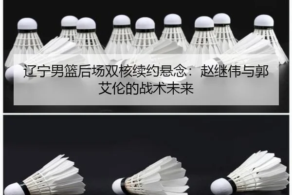 辽宁男篮后场双核续约悬念：赵继伟与郭艾伦的战术未来