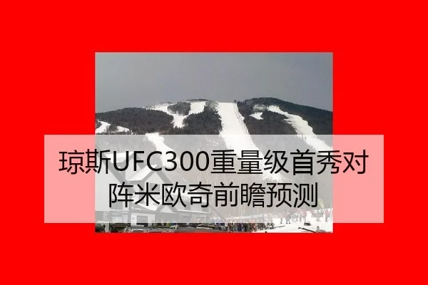 qiong-si-zhong-liang-ji-shou-xiu-dui-zhen-mi-ou-qi-qian-zhan-yu-ce-3-554.jpg