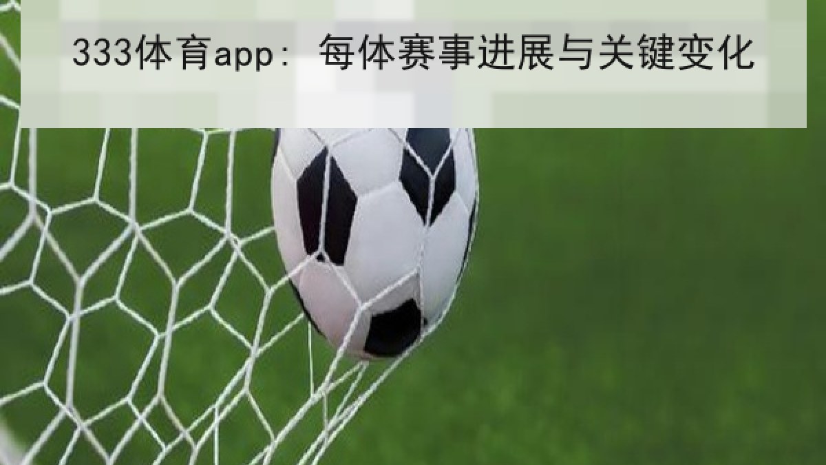 333体育app: 每体赛事进展与关键变化